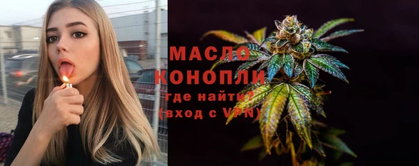 прущие грибы Новозыбков