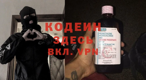 прущие грибы Новозыбков