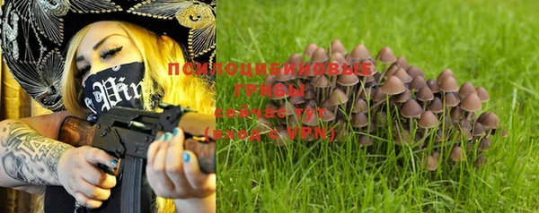 apvp Новодвинск